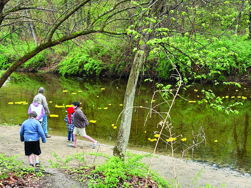 Granby Grange’s duck race supports historic hall preservation